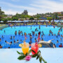 Sunset Aviva: Relájate, comparte y disfruta sin prisa este verano 2025-2026